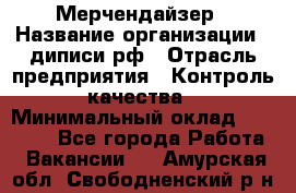 Мерчендайзер › Название организации ­ диписи.рф › Отрасль предприятия ­ Контроль качества › Минимальный оклад ­ 20 000 - Все города Работа » Вакансии   . Амурская обл.,Свободненский р-н